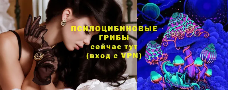 Псилоцибиновые грибы MAGIC MUSHROOMS  как найти закладки  Красноуфимск 